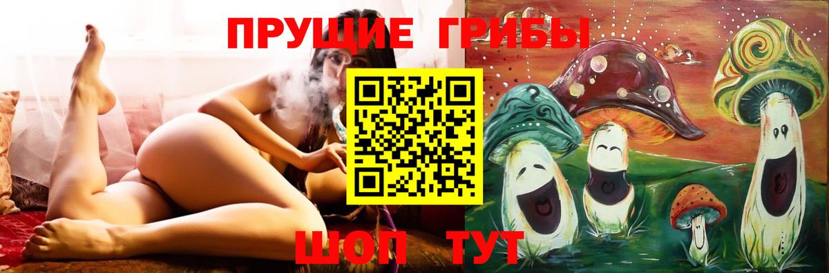 Сургут  купить закладку  Вход с VPN  Псилоцибиновые грибы мицелий 